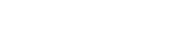 THE BRIDE